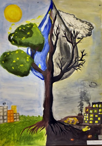 Экологический рисунок