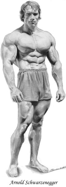 Арнольд Шварценеггер тело