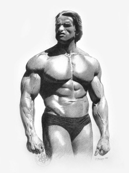 Портрет Арнольда шварцнегеракарандашом