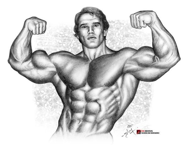Арнольд Шварценеггер рисунок