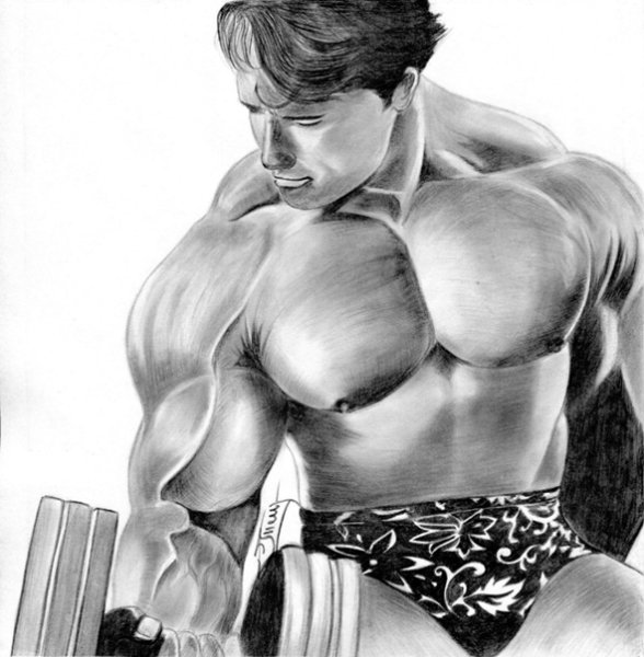 Арнольд Шварценеггер портрет