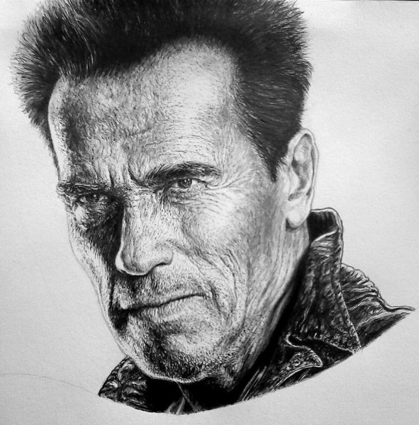 Арнольд Шварценеггер бодибилдер рисунок