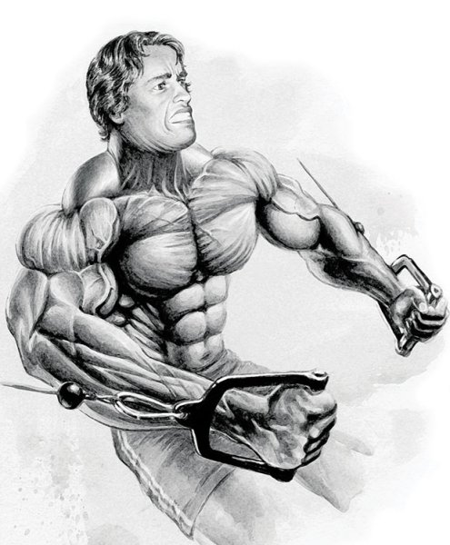 Арнольд Шварценеггер 1963