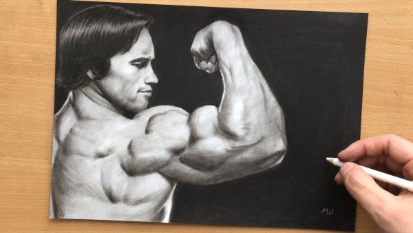 Арнольд Шварценеггер