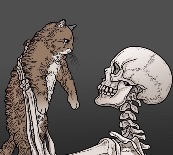 Скелеты с котами