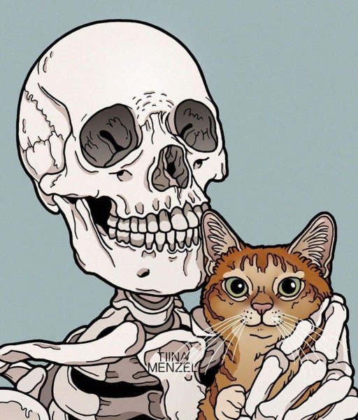 Скелет кота