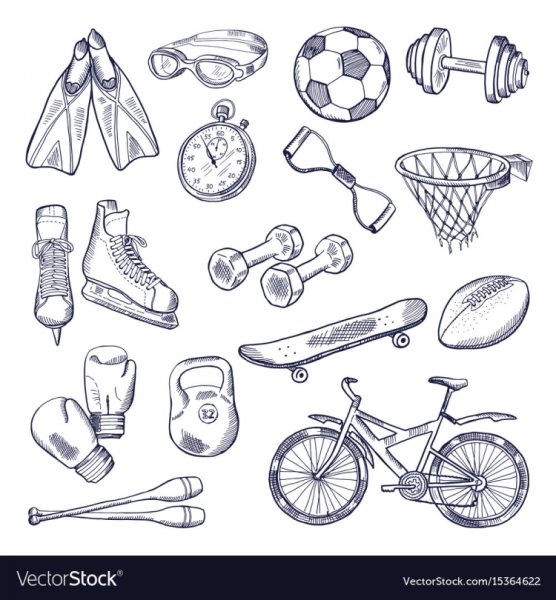Зарисовки спортивного инвентаря