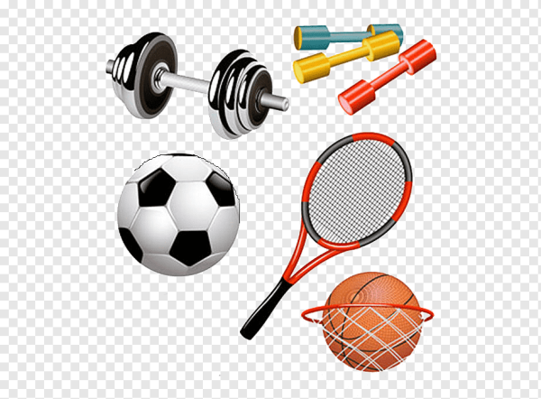 Спортивный инвентарь