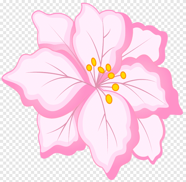 Векторные цветы розовые