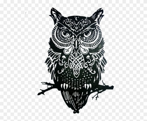 Векторное изображение Совы