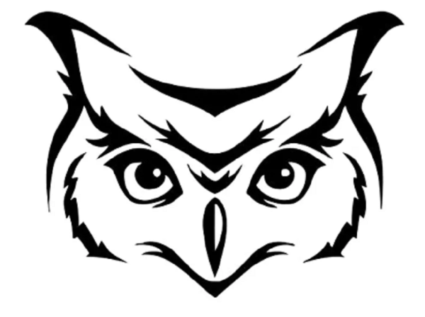 Тату эскиз Сова блэкворк