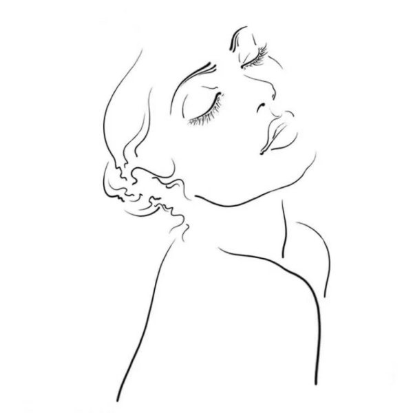 Владимир Шорохов рисунки