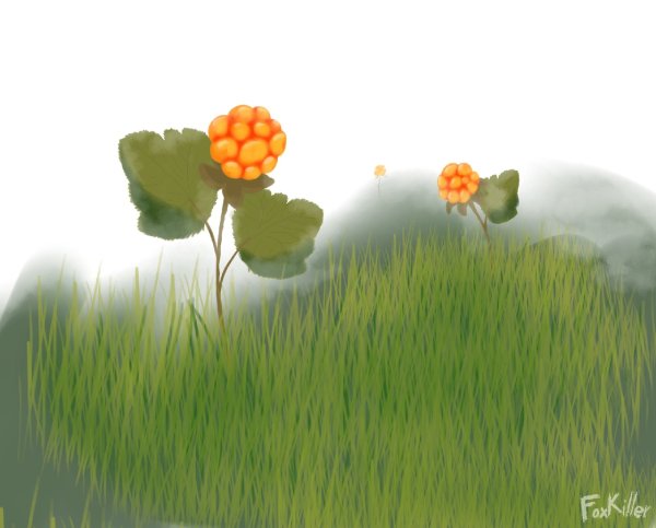 Морошка живопись