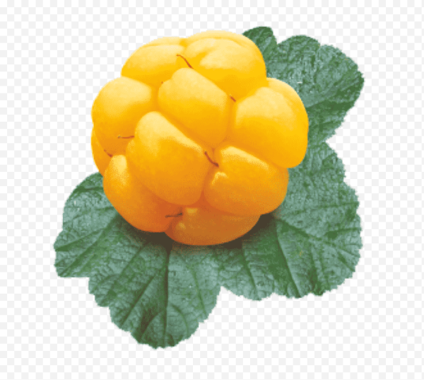 Морошка ягода для детей