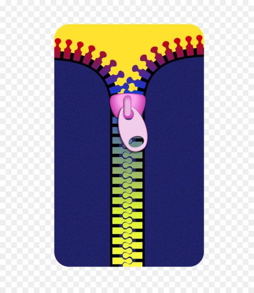 Молния застежка для детей