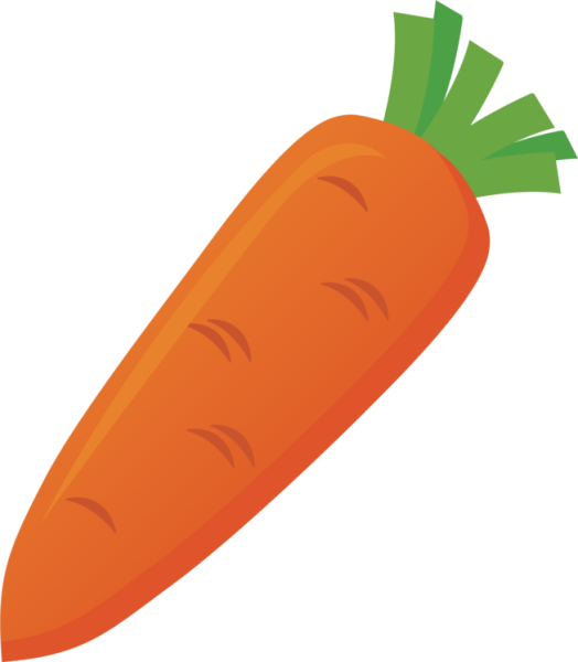 Морковь для дошкольников