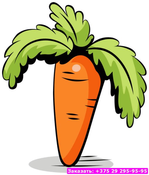 Морковь рисунок