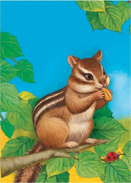 Бурундук рисунок для детей