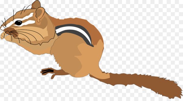 Бурундук для детей