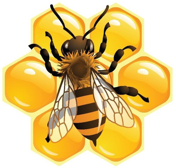 Соты с пчелкой