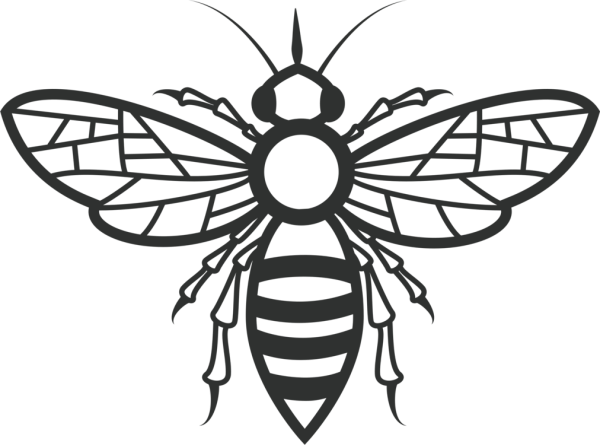 Стилизованные насекомые