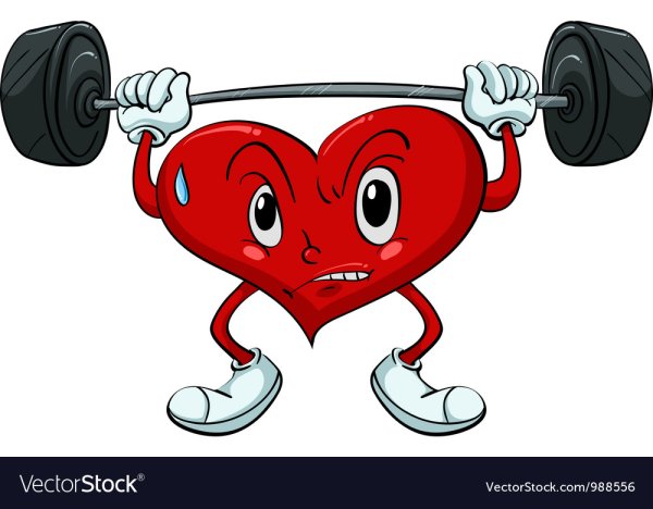 Здоровое спортивное сердце