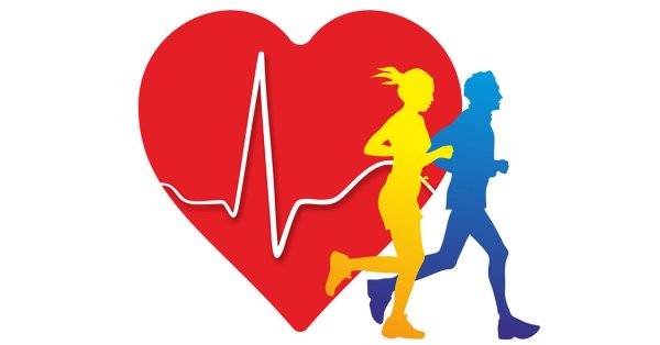 Здоровый образ жизни сердце