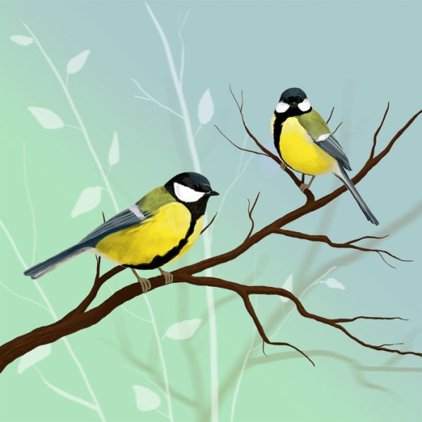 Синичка на веточке