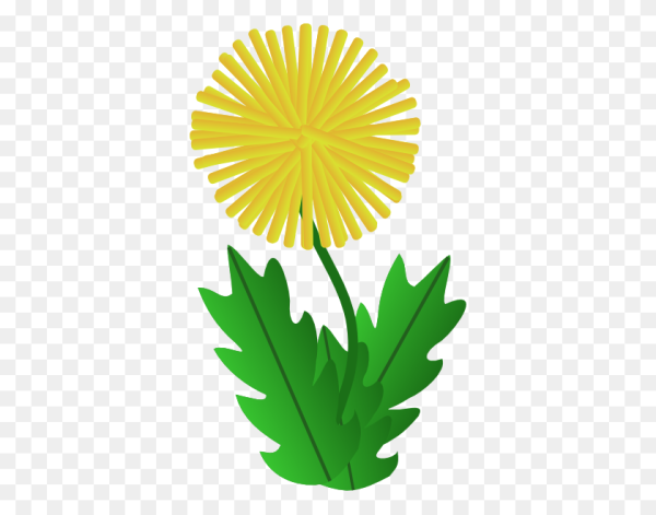 Одуванчик шаблон