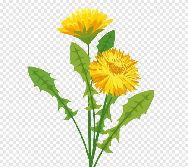 Одуванчик мультяшный