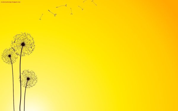 Одуванчик Минимализм