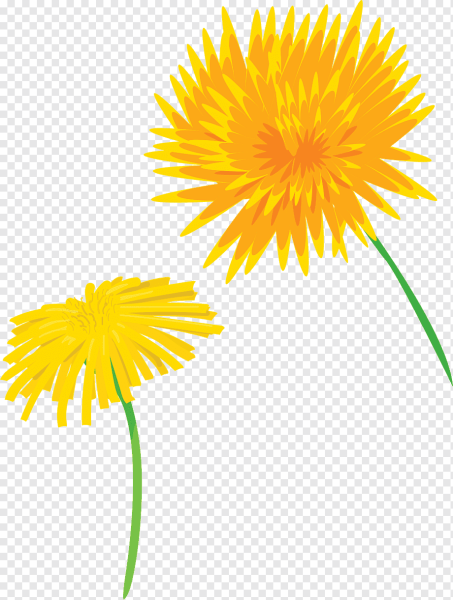 Одуванчик вектор