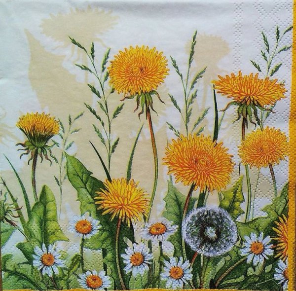 Полевые цветы цветными карандашами