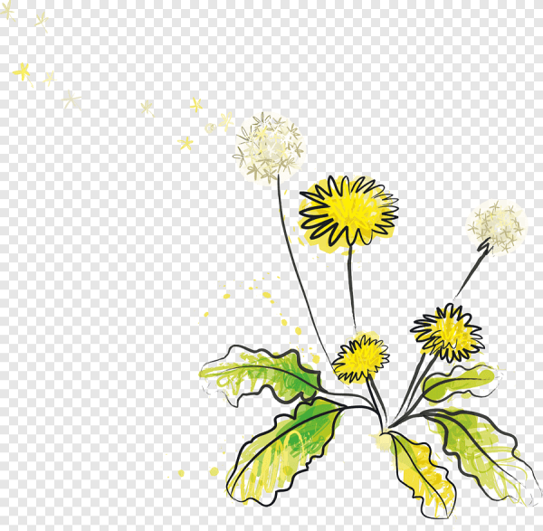 Одуванчик вектор