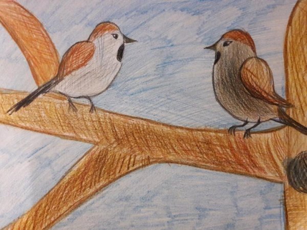 Воробей рисунок