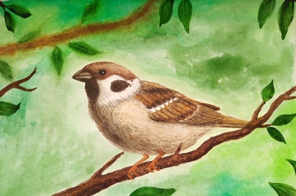 Нарисовать птицу