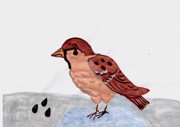 Рисование воробья