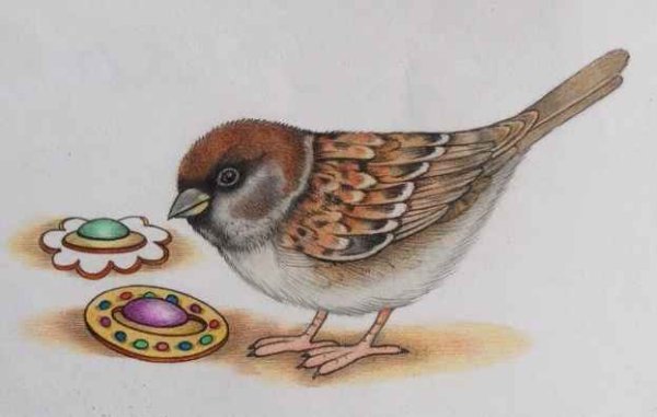 Нарисовать воробья карандашом
