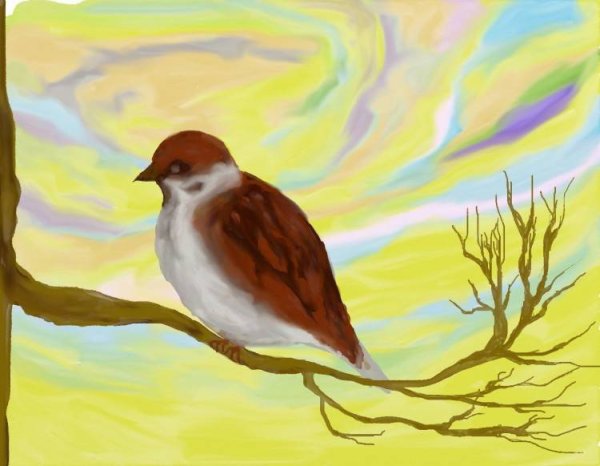 Рисование воробья