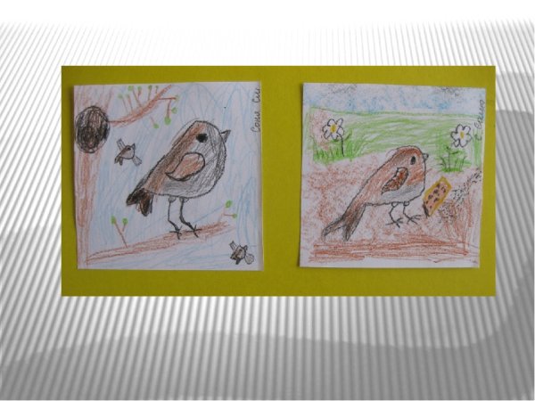 Рисование птицы в средней группе карандашами