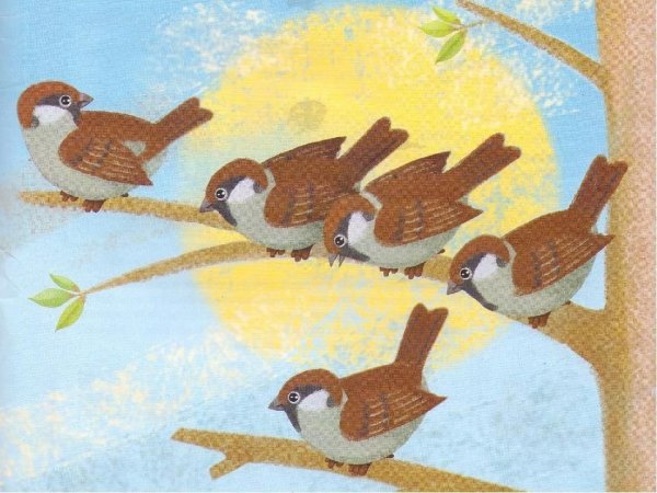 Рисование воробья в старшей группе