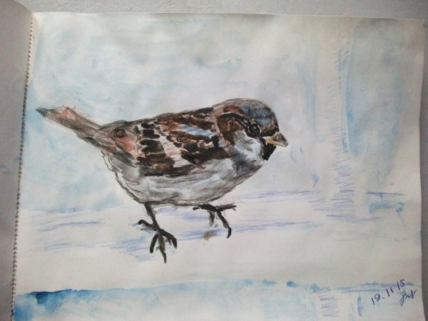 Рисование воробья