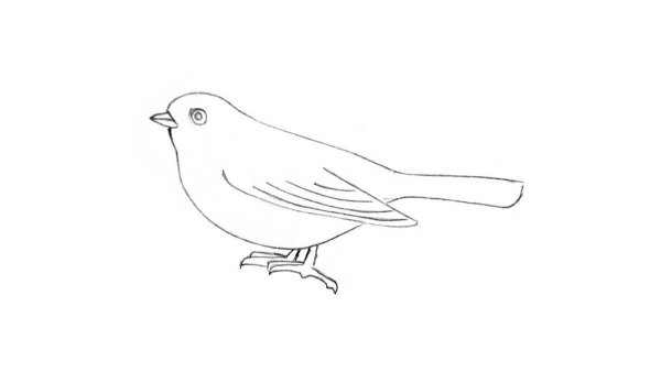 Воробей картинка для детей