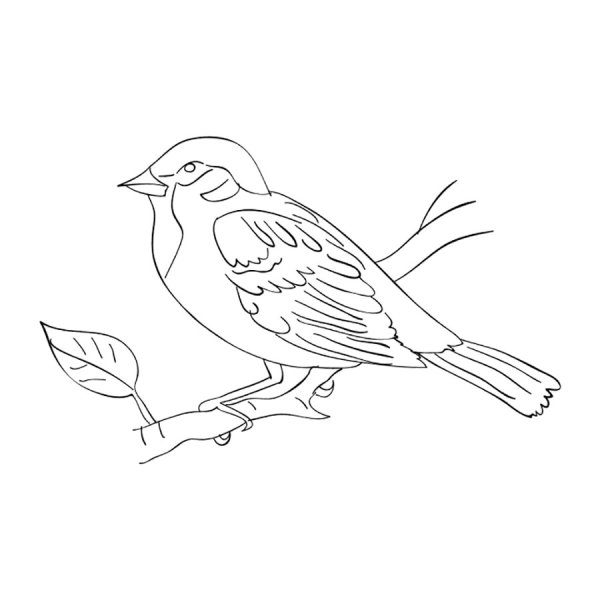 Птичка рисунок для детей карандашом