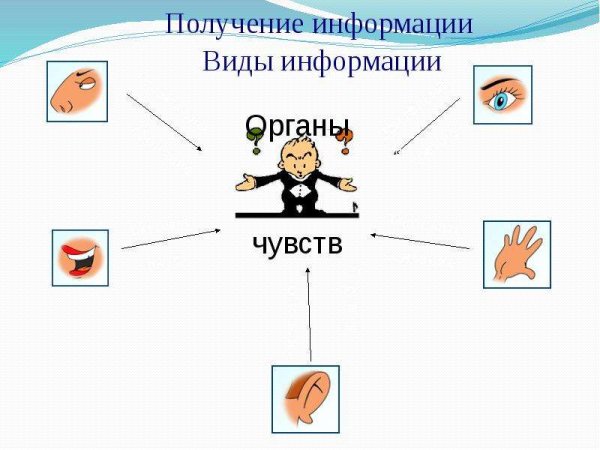 Источник и приемник информации