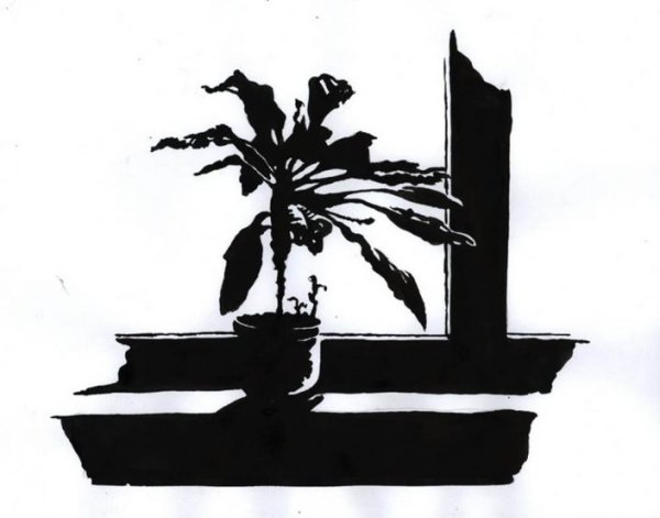 Силуэт композиция