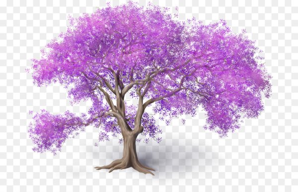 Фиолетовое дерево на прозрачном фоне