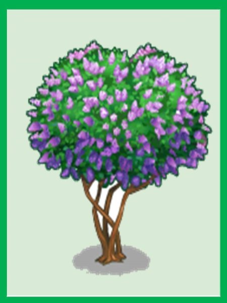 Кусты для дошкольников