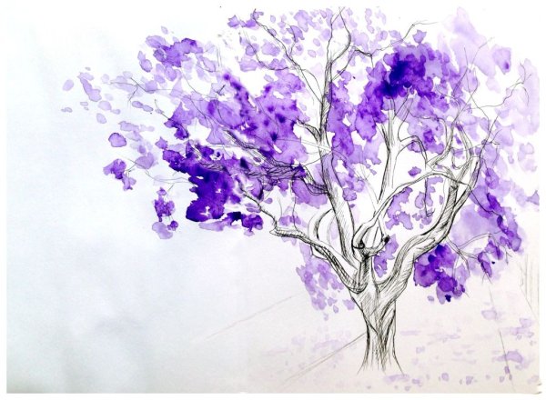 Дерево жакаранда акварель