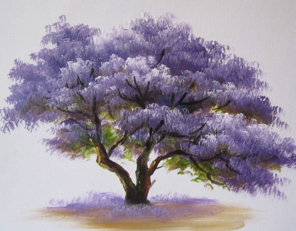 Краска для дерева